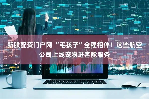 新股配资门户网 “毛孩子”全程相伴！这些航空公司上线宠物进客舱服务